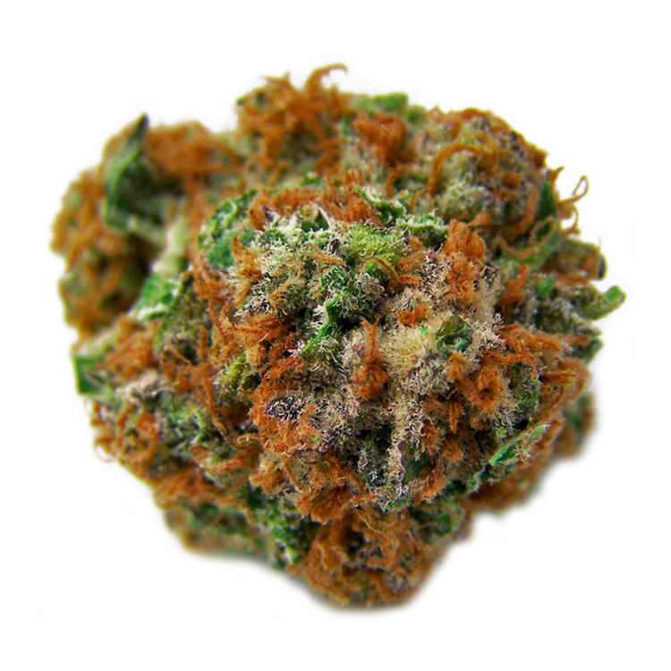 Durban Poison