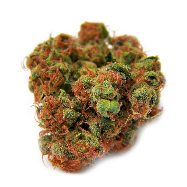 G-13 Diesel