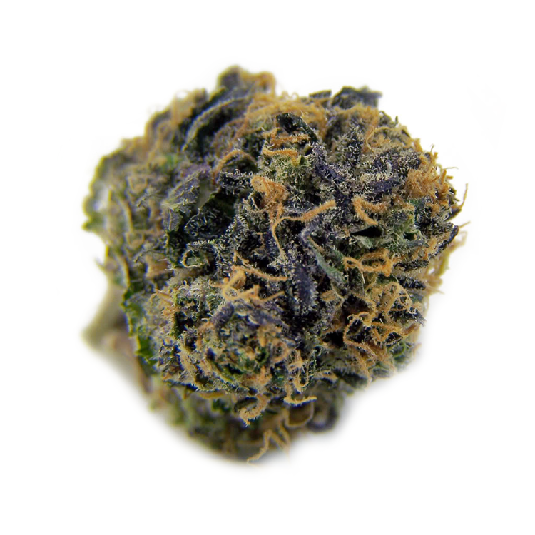 Purple Kush